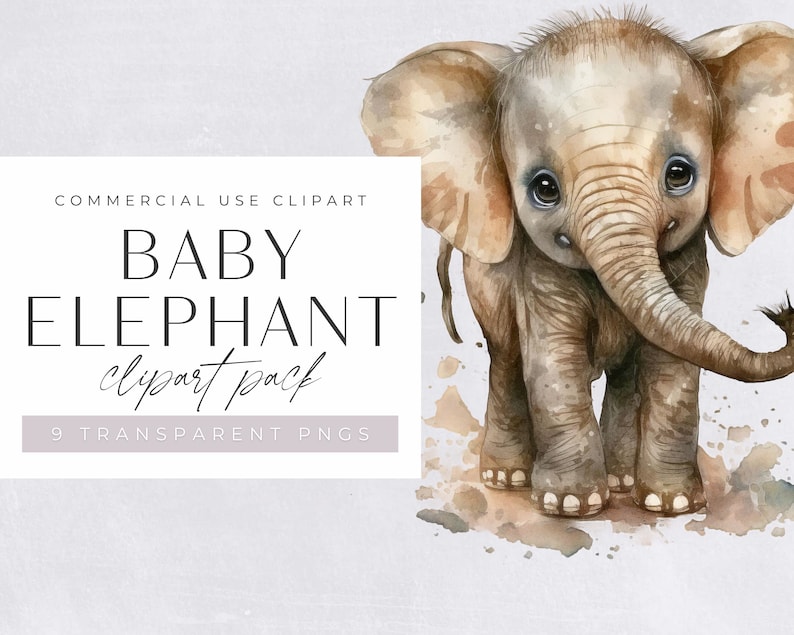 Baby Elefant Aquarell Clipart, niedlich ClipArt für kommerzielle Nutzung, transparente PNGs, afrikanische Safari Zoo Tier, Elefantenbabys, Kinderzimmer Bild 1