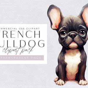 Französische Bulldogge Clipart, süße Frenchie Bull Dog, Aquarell Welpe für kommerzielle Nutzung, Haustier, transparente PNGs, Hunde, Rasse