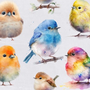 Bird Clipart Bundle, Colorful Watercolor Birds, Robin, on Branch, for commercial use, Cute Animal Clipart for Nursery, Transparent PNGs, image 4