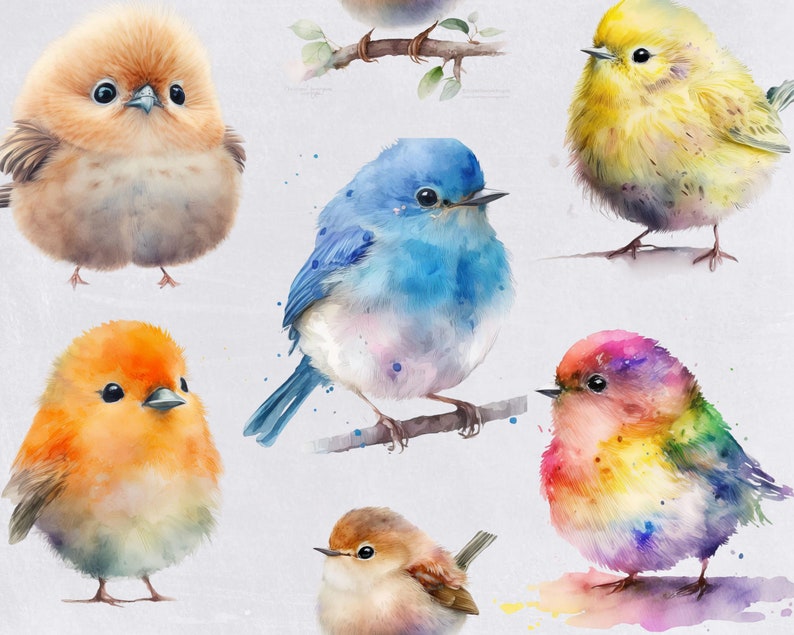 Bird Clipart Bundle, Colorful Watercolor Birds, Robin, on Branch, for commercial use, Cute Animal Clipart for Nursery, Transparent PNGs, image 4