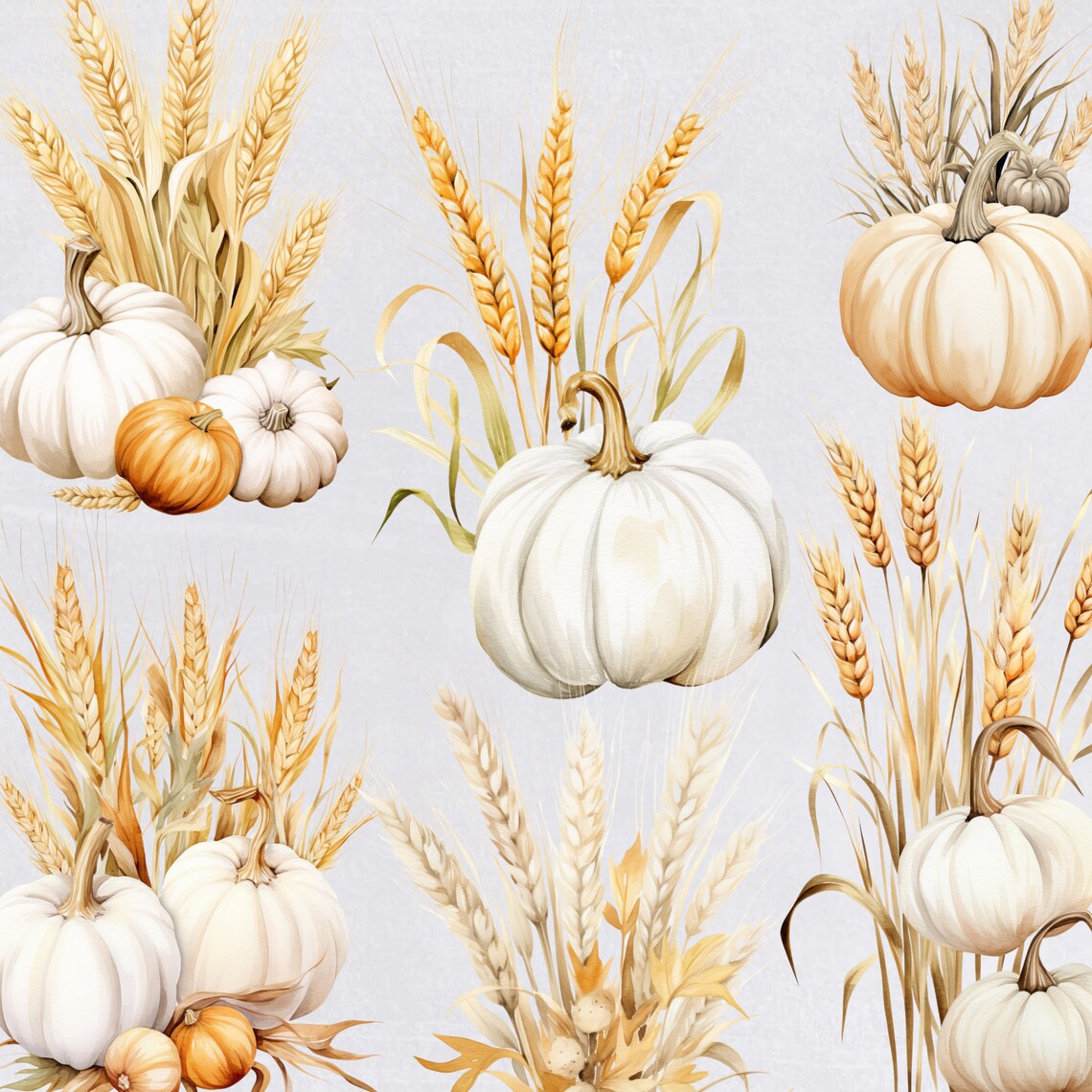 White Floral Pumpkin Clipart, Autumn Harvest Fall Thanksgiving Clipart ...