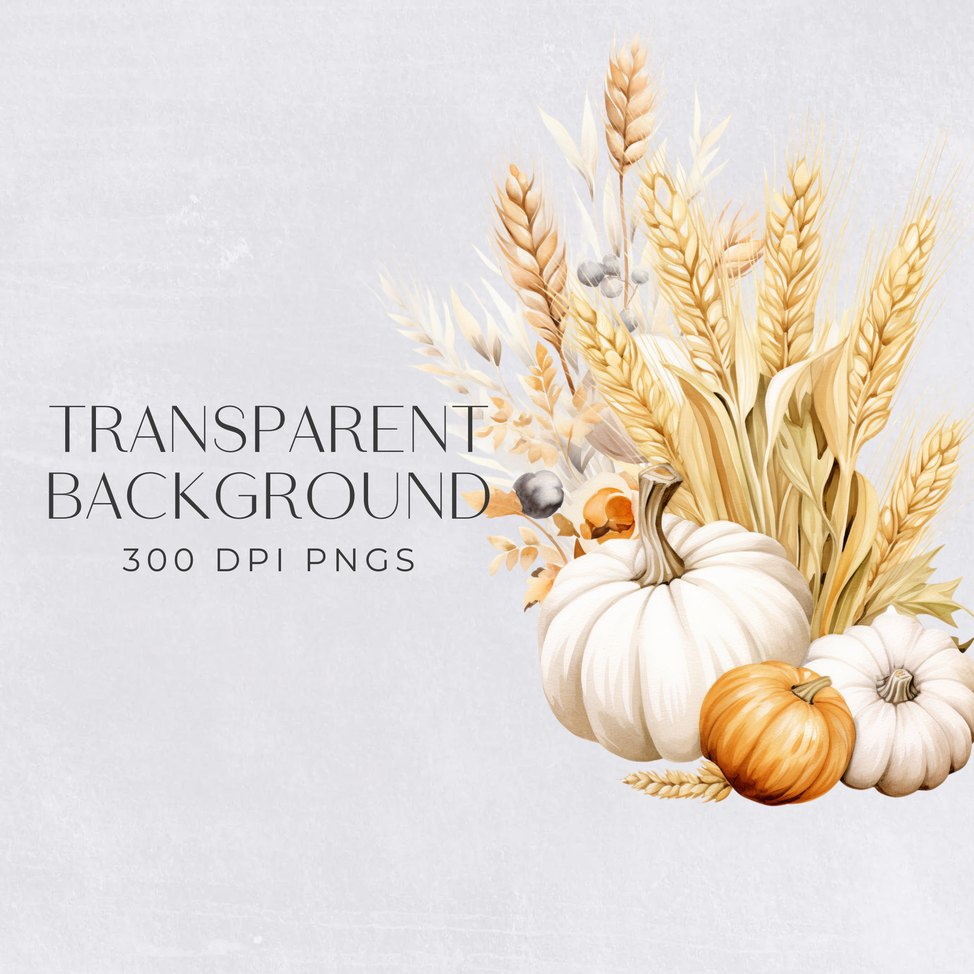 White Floral Pumpkin Clipart, Autumn Harvest Fall Thanksgiving Clipart ...