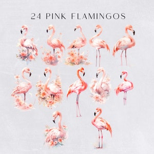 a group of pink flamingos standing next to each other