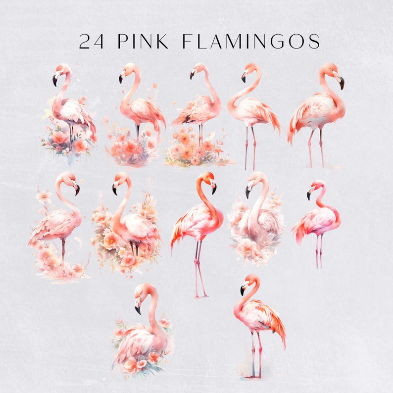 a group of pink flamingos standing next to each other