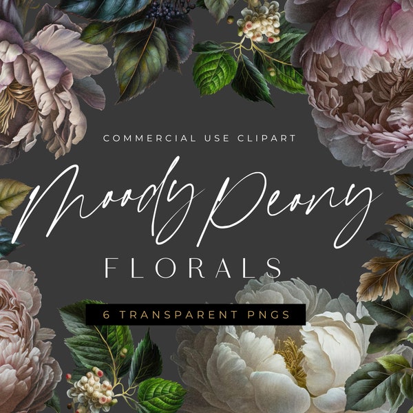 Moody pivoines aquarelle fleur clipart, clipart png floral transparent, bouquet de fleurs blanches, printemps Floral pivoine, fleurs d’été roses