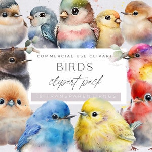 Bird Clipart Bundle, Colorful Watercolor Birds, Robin, on Branch, for commercial use, Cute Animal Clipart for Nursery, Transparent PNGs,