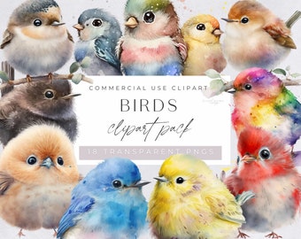 Bird Clipart Bundle, Colorful Watercolor Birds, Robin, on Branch, for commercial use, Cute Animal Clipart for Nursery, Transparent PNGs,