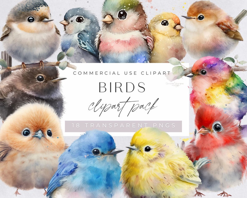 Bird Clipart Bundle, Colorful Watercolor Birds, Robin, on Branch, for commercial use, Cute Animal Clipart for Nursery, Transparent PNGs, image 1