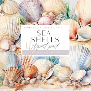 Puede incluir: Un paquete de clipart digital de 12 conchas marinas de acuarela en varios colores y formas. Las conchas marinas están dispuestas sobre un fondo arenoso con algunas algas verdes. El texto "COMMERCIAL USE CLIPART SEA SHELLS clipart pack 12 TRANSPARENT PNGS" se muestra en un rectángulo blanco en el centro de la imagen.