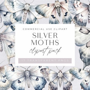 Silber und Grau Motten Clipart Pack, transparente Png Clipart, Aquarell Schmetterling Clipart, Illustrationen, Grafiken, kommerzielle Nutzung