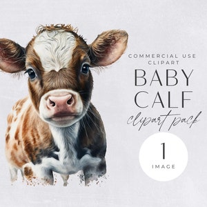 Cow Clipart Commercial License | SINGLE IMAGE | Transparent PNGs, Cute Watercolor Farm Animals, Brown & White Calf Clip Art, Nursery Decor,