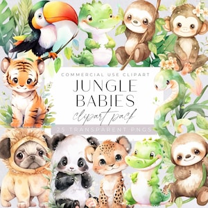 Clipart bébé jungle pour usage commercial, bébés animaux de safari aquarelle, sauvage un PNG transparents, chambre d'enfant, Invitation de baby shower,