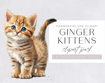 Ginger Kittens clipart pack, Clipart for commercial use, Transparent PNGs, Nursery Clipart, Cute, Adorable Ginger Kittens, Tabby Cats