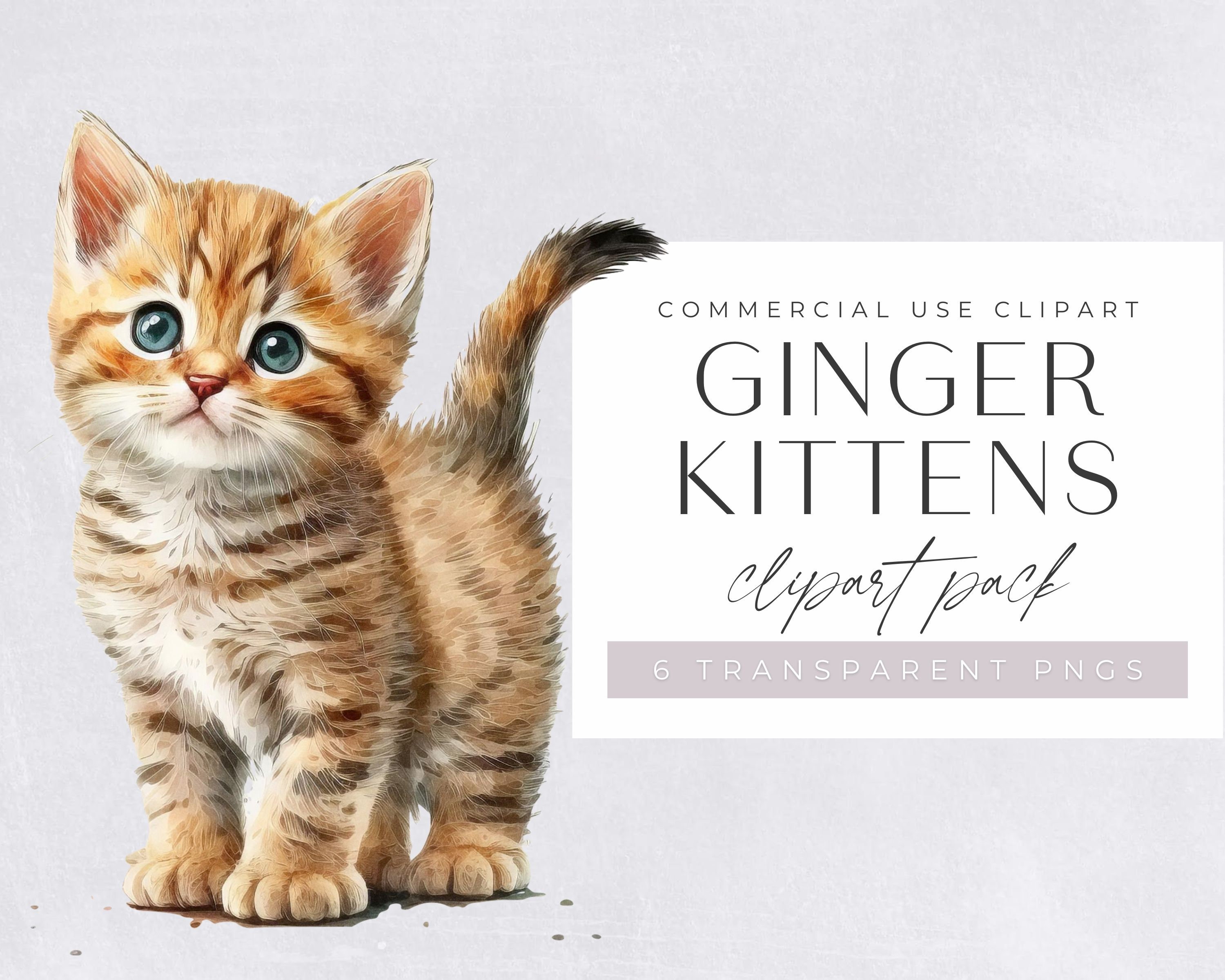 Ginger Kittens Clipart Pack Clipart for Commercial Use Etsy Australia