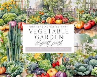 Vegetable Garden Watercolor Clipart Pack, Veggies Clip Art, commercial use, Food, Spring Gardening Illustrations, Carrot, Transparent PNGs,
