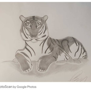 The Eye of the Tyger