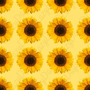 Carta digitale girasoli, carta per album, download istantaneo, file digitale, senza soluzione di continuità, stampabile, 300 dpi