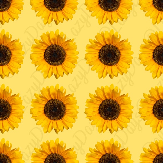 Sunflowers Digital Paper Scrapbook Paper Instant Download | Etsy