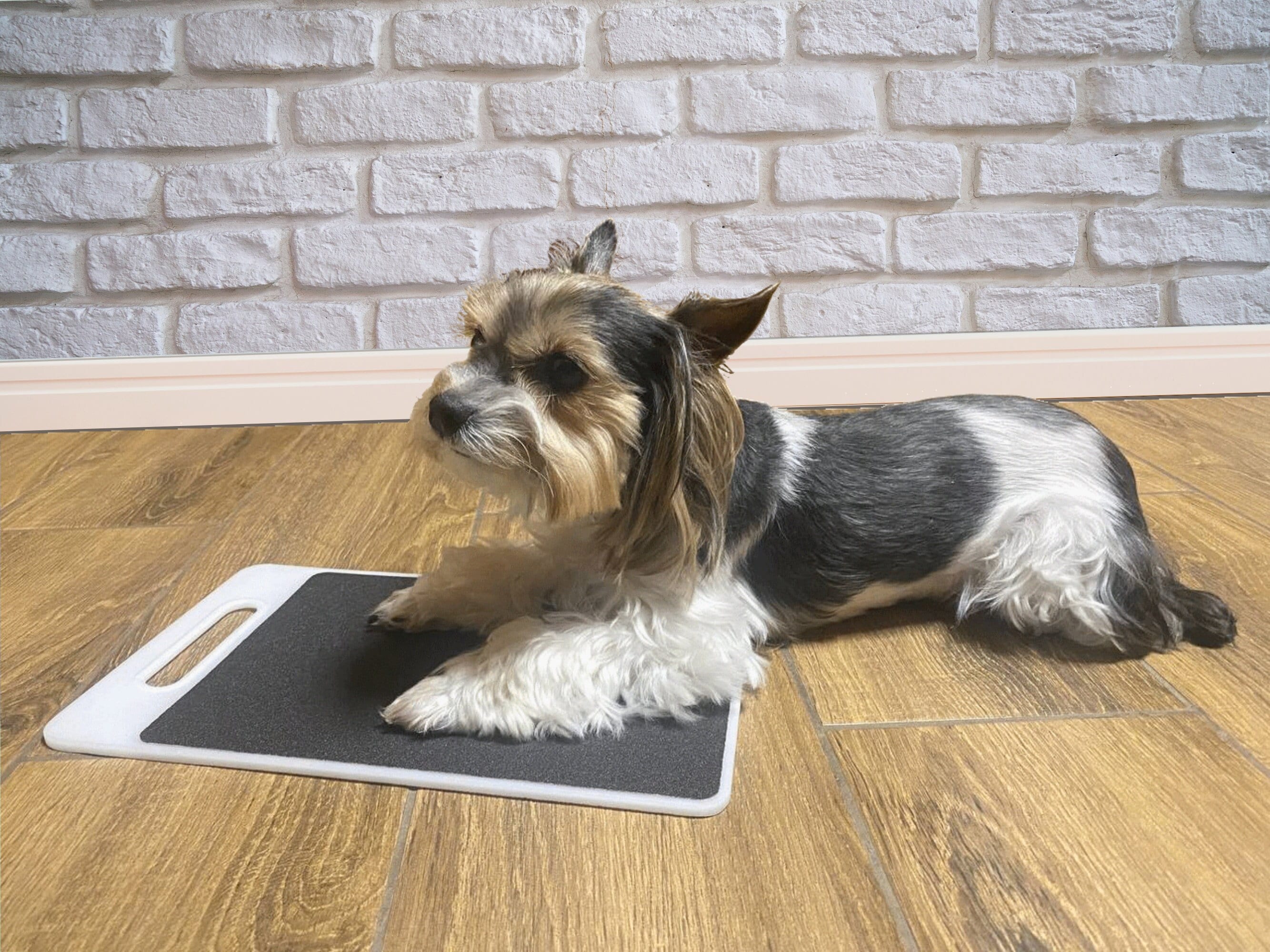 Doublesided Nail Grinding Board for Dogs Dog Nail Scratchpad Size 10.7x7.4 Inches 27cm X 19cm