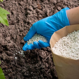 Engrais minéral pour plantes | Zéolite pour fleurs | Additifs pour le terreau