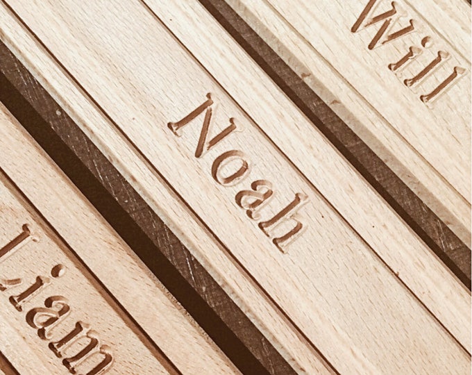 brio amtrak wooden train