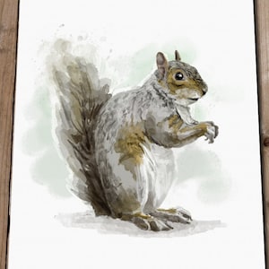 Woodland Animals - Squirrel Gift - Squirrel Watercolour Art PRINT - Woodland Animal PRINTS - Woodland Art - Woodland Painting - Squirrel Art