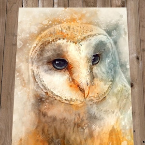OWL Print Wall Art  - Barn Owl Gift - Woodland Decor - Colourful Wall Art - Woodland Animals - Owl Painting - Nature Painting - Bird Art