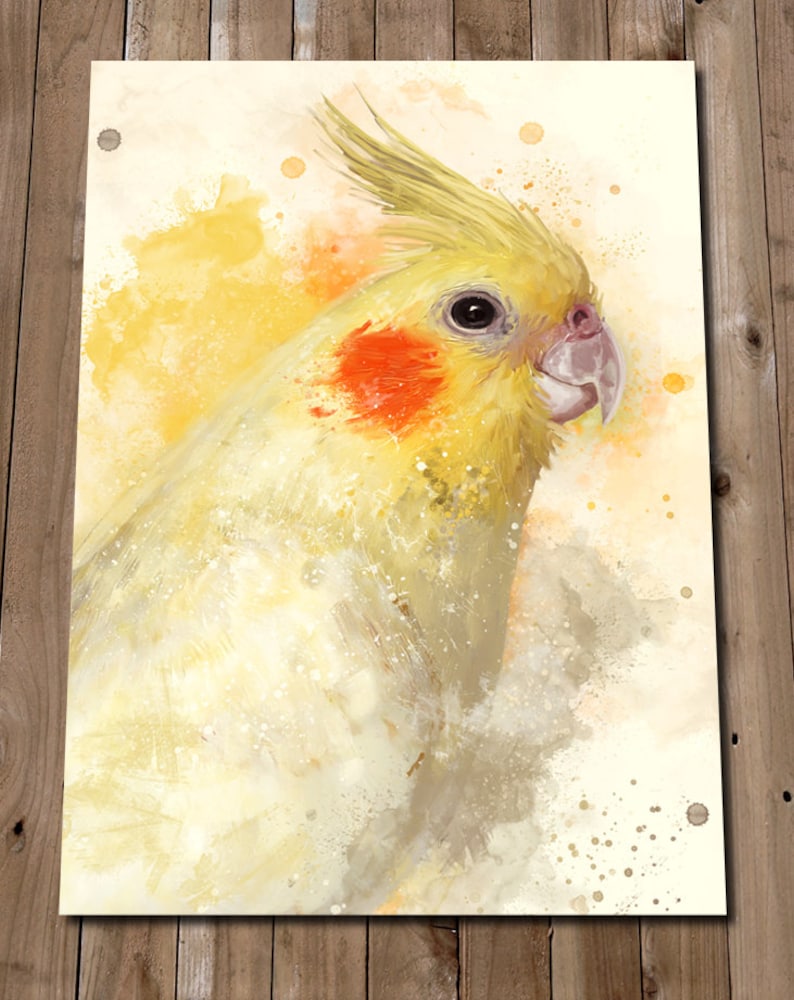 Cockatiel Art Print Yellow Cockatiel Pet Bird Painting | Etsy