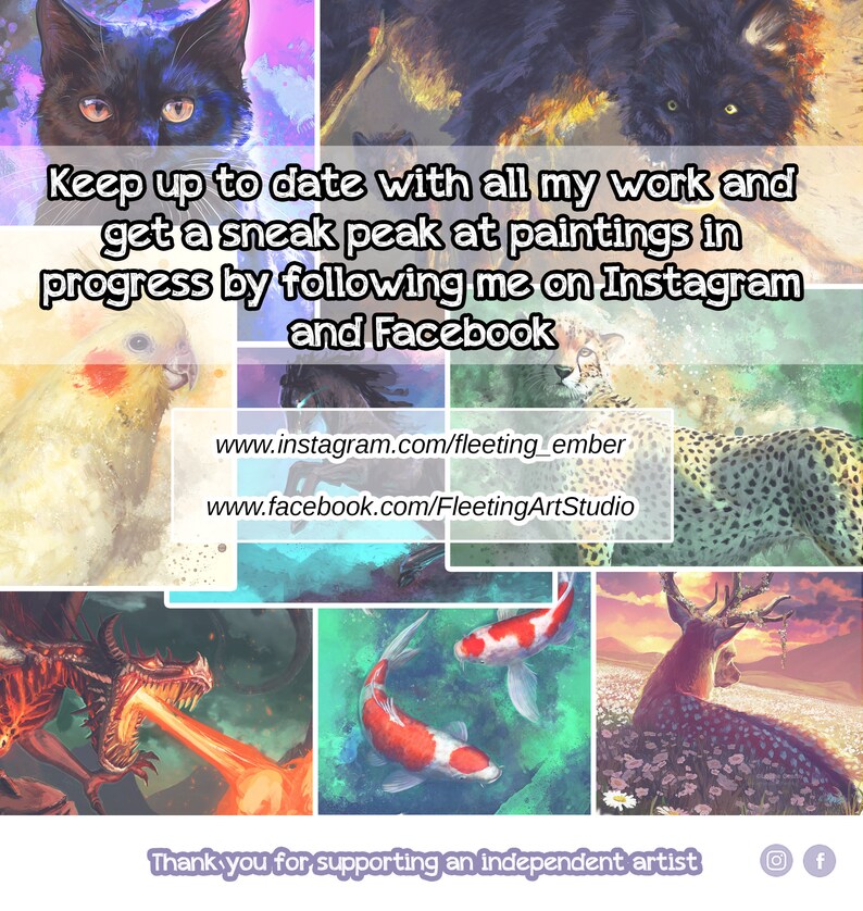 May include: A collage of digital paintings featuring a black cat, a cheetah, a cockatiel, a dragon, koi fish, and a deer. The text "Keep up to date with all my work and get a sneak peak at paintings in progress by following me on Instagram and Facebook" is displayed. The text "www.instagram.com/fleeting_ember" and "www.facebook.com/FleetingArtStudio" are also displayed. The text "Thank you for supporting an independent artist" is displayed at the bottom of the collage. Instagram and Facebook icons are displayed.