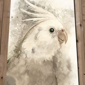White Faced Cockatiel Art Print - Pet Bird Painting - Animal Lover Gift - Wall Art Poster - Home Decor - Animal Painting - Parakeet