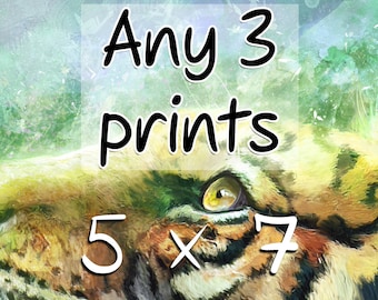 5 x 7 Inch Print - 5x7" Small Art Prints - Mix and Match Wall Art - Choose Any 3 Original Art Prints - Print Bundle for Gifts and Home