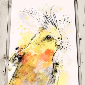 Cockatiel Painting - Nursery Art - Pet Bird Art Print - Animal Lover Gift - Wall Art - Home Decor - Animal Painting - Parakeet Art Print