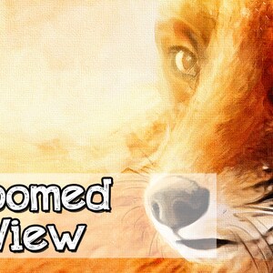 May include: Close-up of a fox's face with a soft, orange and brown fur. The fox's eyes are open and looking directly at the viewer. The fox's nose is visible and the whiskers are prominent. The background is a blurred orange and yellow.
