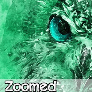 May include: A close-up of a green and blue abstract painting with a textured surface. The painting features a large, swirling eye with a blue iris and a black pupil. The text "Zoomed View" is printed in white on a white background at the bottom of the image.
