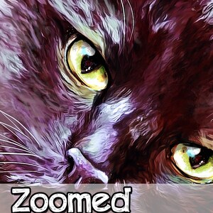 May include: Close-up digital art of a cat's face, featuring intense yellow-green eyes and dark fur with purple and white highlights. The text "Zoomed View" is overlaid at the bottom. The image has a painterly style.