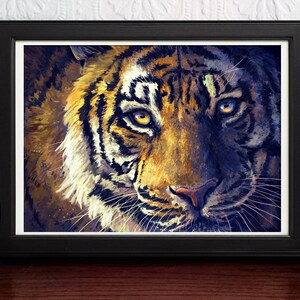 K&ouml;nnte beinhalten: Nahaufnahme eines Tigergesichts. Der Tiger hat orange und schwarze Streifen mit einem wei&szlig;en Fleck auf der Stirn. Seine Augen sind leuchtend blau und gr&uuml;n, und seine Schnurrhaare sind lang und prominent.