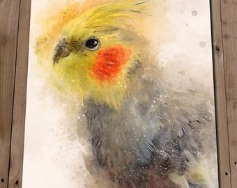 Cockatiel Art Print - Yellow Cockatiel - Pet Bird Painting - Animal Lover Gift - Wall Art Poster - Home Decor - Animal Painting - Parakeet