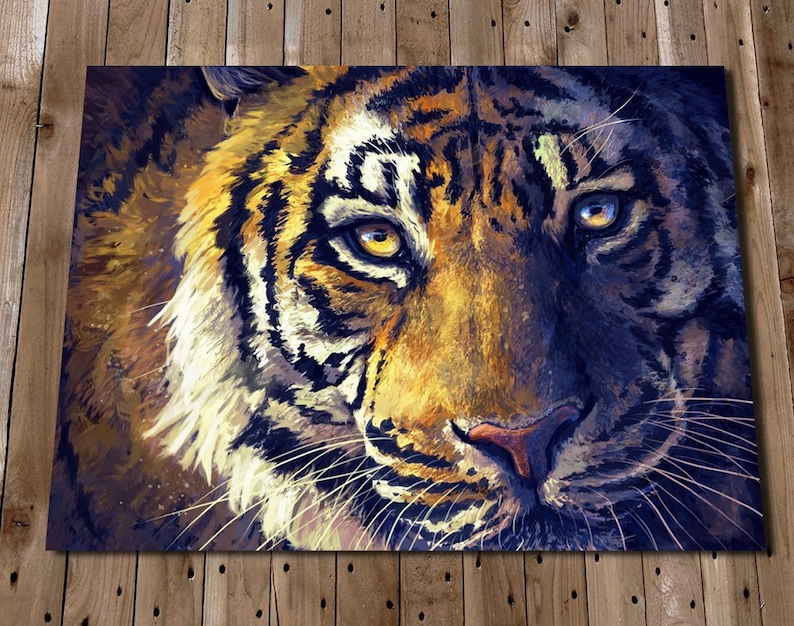 K&ouml;nnte beinhalten: Nahaufnahme eines Tigers mit orangefarbenen und schwarzen Streifen. Die Augen des Tigers sind leuchtend blau und seine Nase ist rosa. Der Hintergrund ist dunkel und verschwommen.