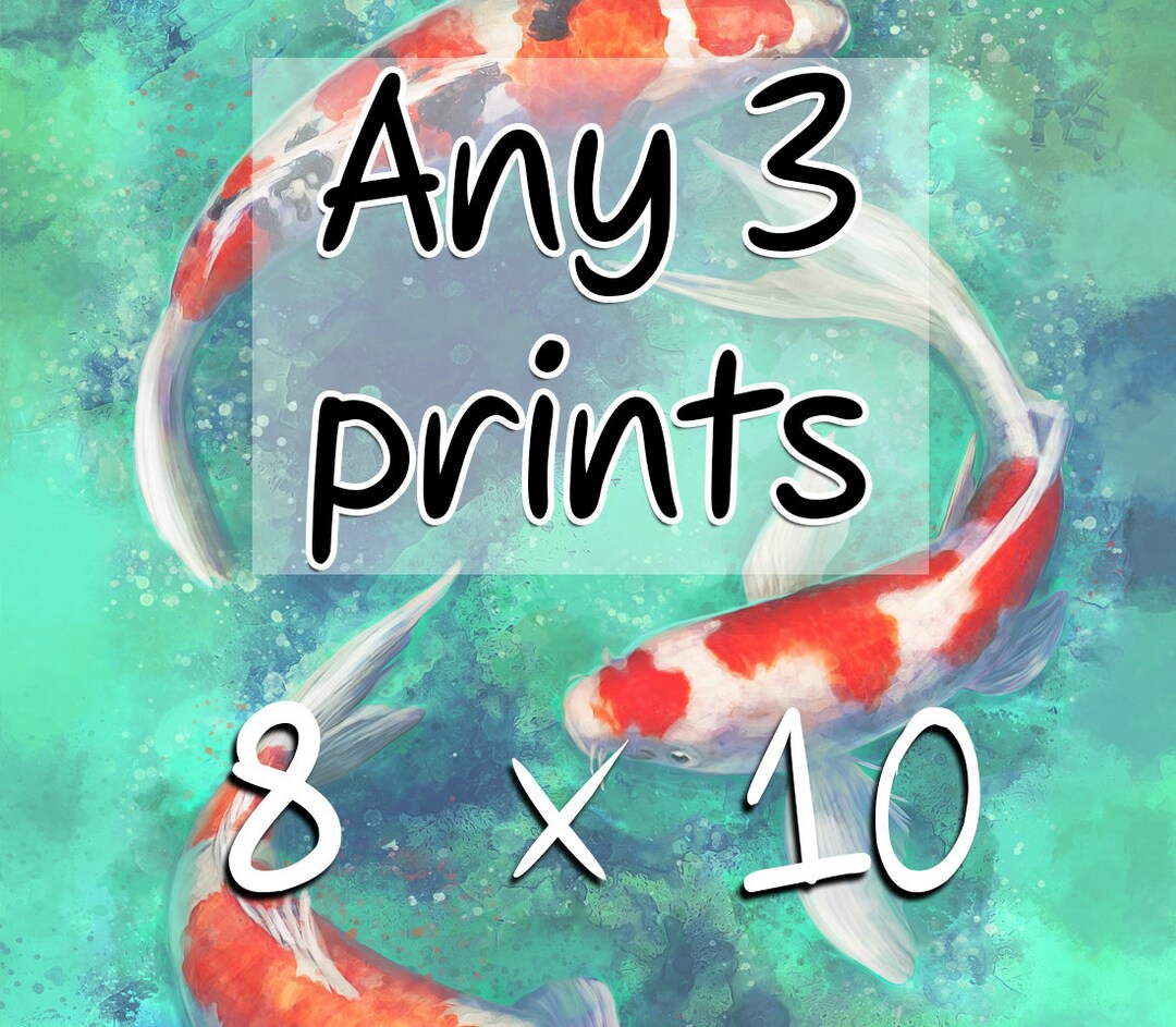 8 X 10 Inch Print 8x10 Art Prints Choose Any 3 Original Art Prints Mix
