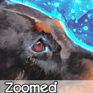 Puede incluir: Primer plano de un ojo de perro, con un fondo abstracto azul y blanco. El ojo del perro es marr&oacute;n y est&aacute; rodeado de pelo negro. El texto "Zoomed View" es visible en la parte inferior de la imagen.