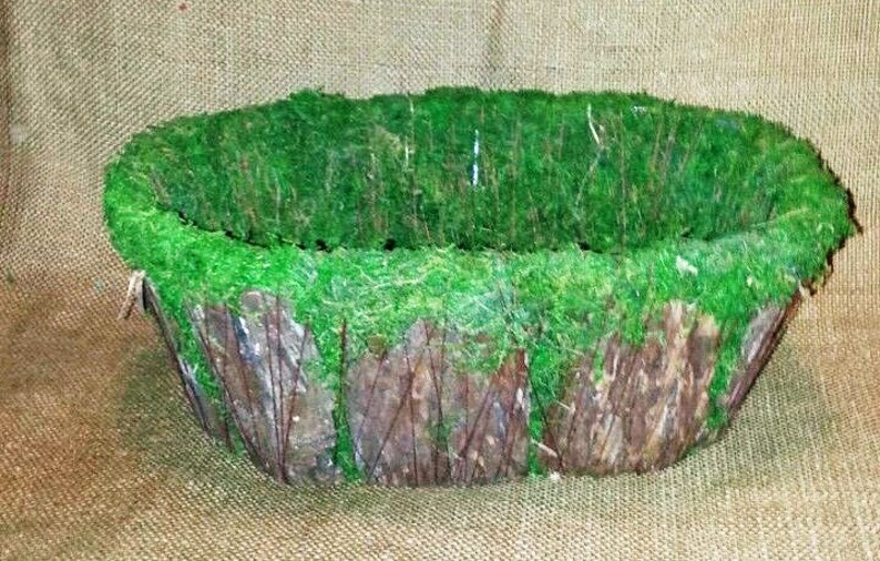 Tree bark basket with moss lining Moss covered Basket rustic Etsy