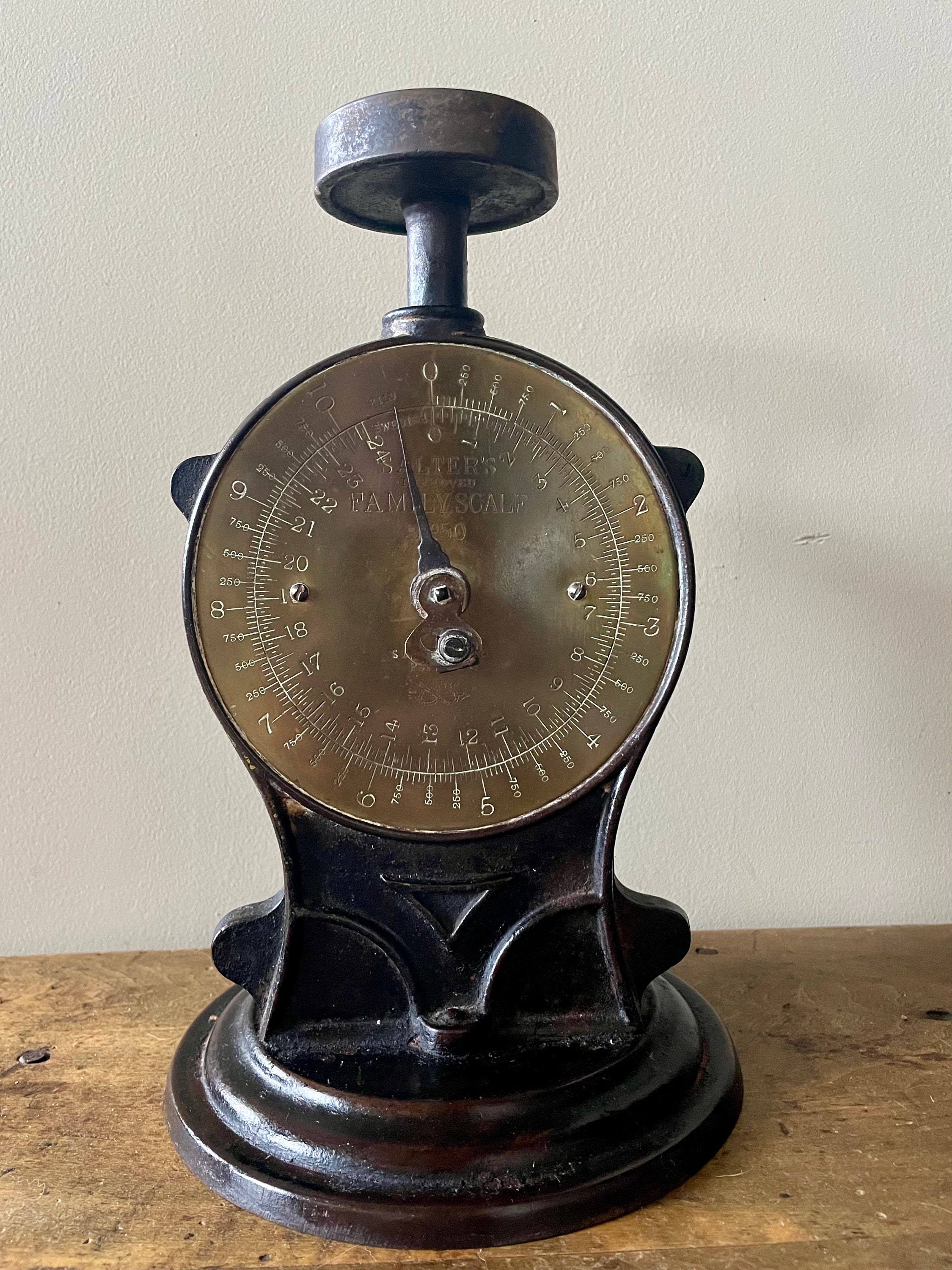 Salters family scale top