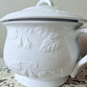 May include: A white ceramic chamber pot with a matching lid, featuring a raised relief pattern of leaves and flowers on the exterior. The vessel includes a curved side handle and a wide rim, showcasing a glossy finish with subtle surface texture.