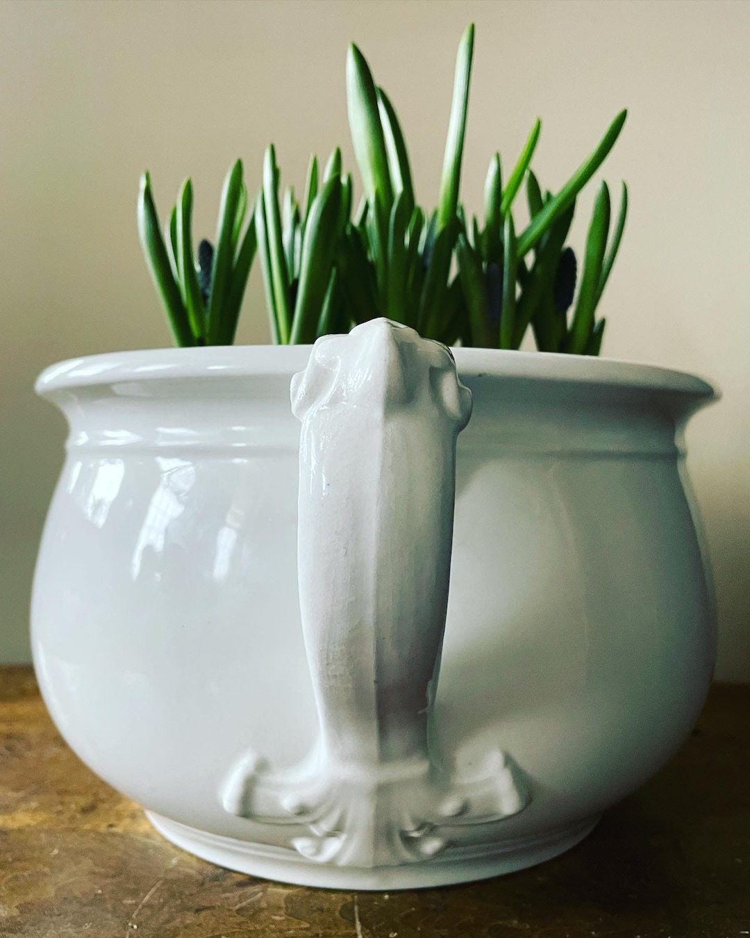 Antique Ironstone Chamber Pot Etsy