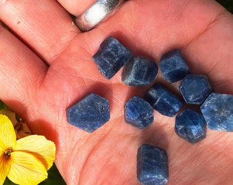 May include: A collection of ten faceted blue sapphire stones, each with a hexagonal shape, are displayed on a person's palm.