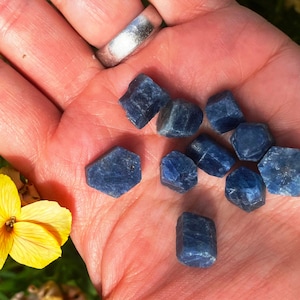 May include: A collection of ten faceted blue sapphire stones, each with a hexagonal shape, are displayed on a person's palm.
