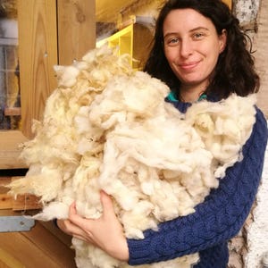 May include: A person holding a large amount of white sheep wool. The wool is fluffy and appears to be freshly shorn.