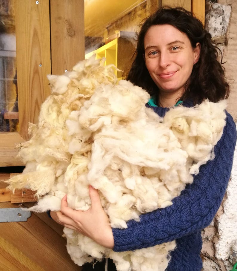 May include: A person holding a large amount of white sheep wool. The wool is fluffy and appears to be freshly shorn.