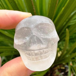 Könnte beinhalten: Eine durchscheinende, geschnitzte Totenkopf-Figur mit sichtbaren Zähnen und Augenhöhlen. Der Totenkopf wird vor einem Hintergrund aus grünem Laub gehalten, was einen Kontrast erzeugt. Der Totenkopf ist etwa 5 cm hoch.