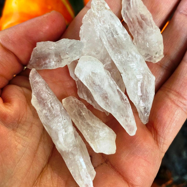 5 witch finger crystals clear quartz points, Halloween crystals witch's fingers trick or treat gem wiggly quartz point switch witch fingers